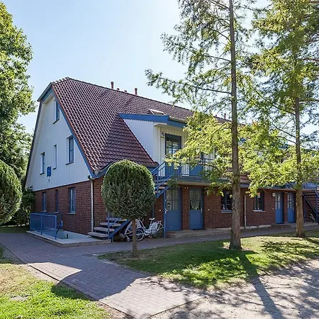 Papillon 03-4 博尔滕哈根